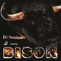 Bison